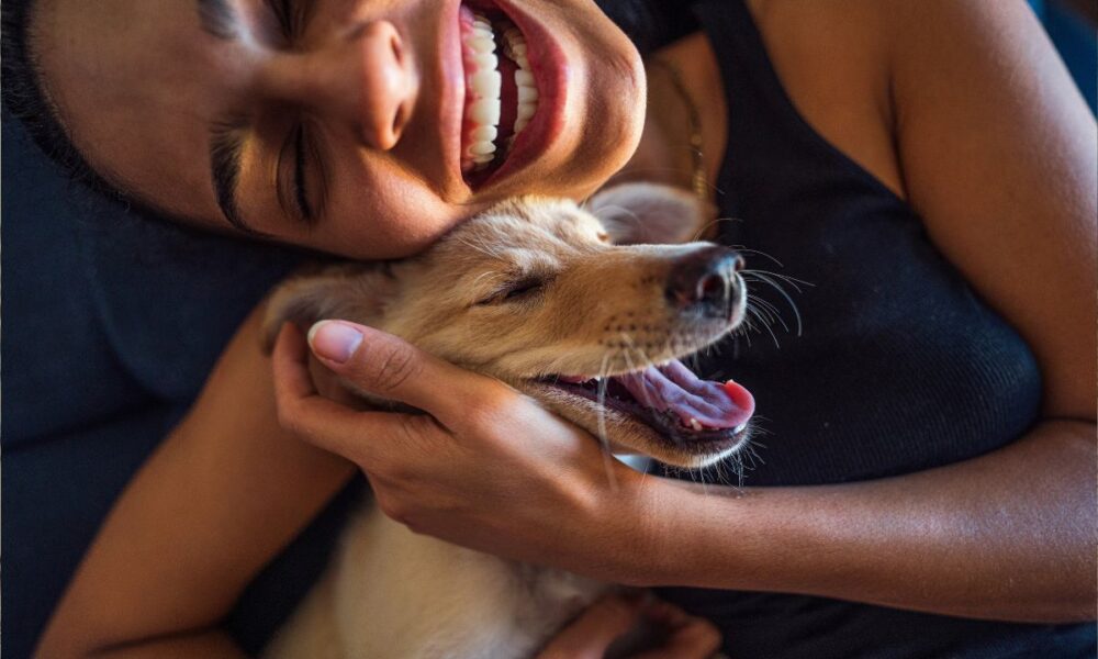 Cães e tutores podem ter personalidades semelhantes1751228440.jpeg