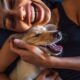 Cães e tutores podem ter personalidades semelhantes1751228440.jpeg