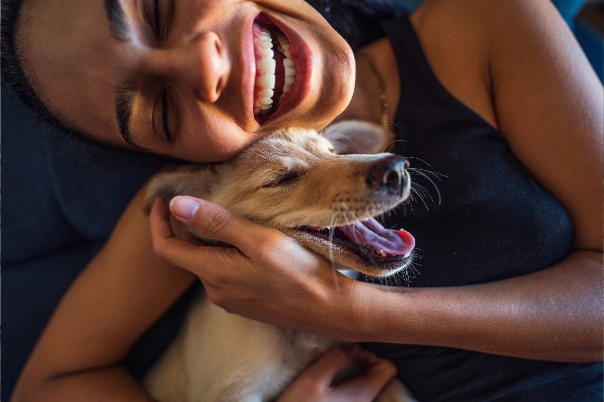 Cães e tutores podem ter personalidades semelhantes1751228440.jpeg