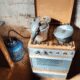 Trabalhador rural resgatado de condição análoga à escravidão em SP1751579432.jpeg
